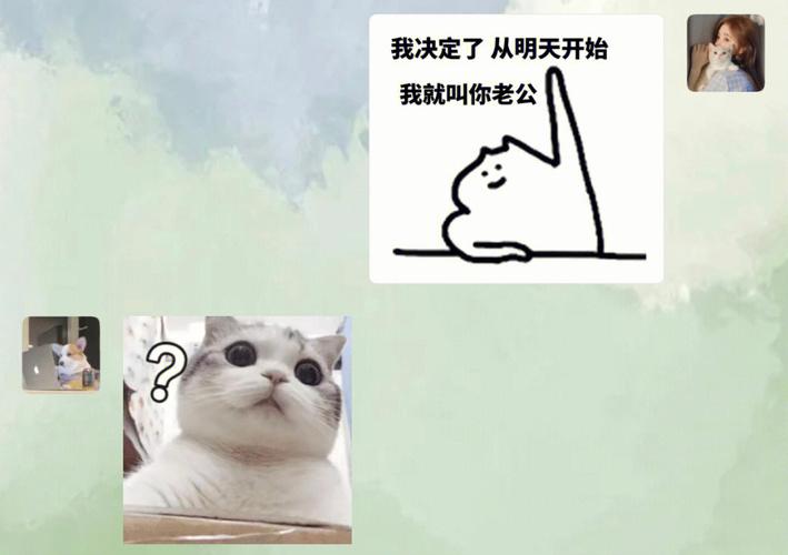 我决定了从明天开始 我就叫你老公
