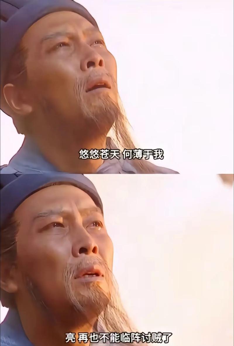 悠悠苍天何薄于我 亮再也不能临阵讨贼了