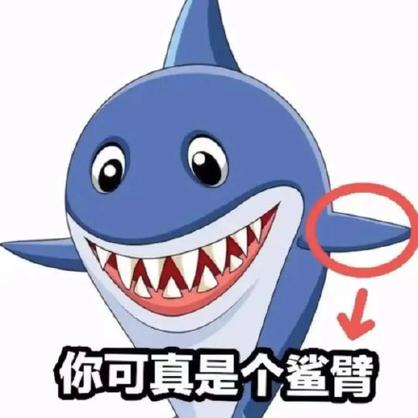 你可真是个鲨臂