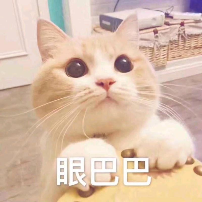 眼巴巴