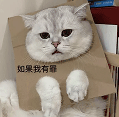 如果我有罪