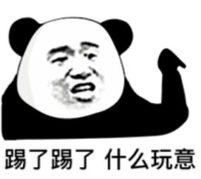 踢了踢了什么玩意