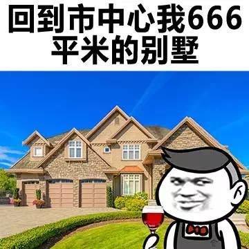 回到市中心我666 平米的别墅