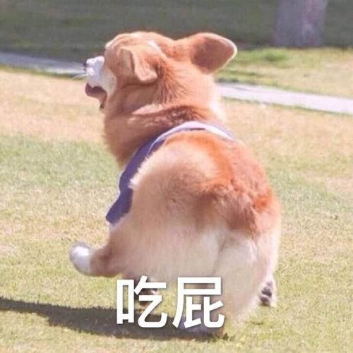 吃屁