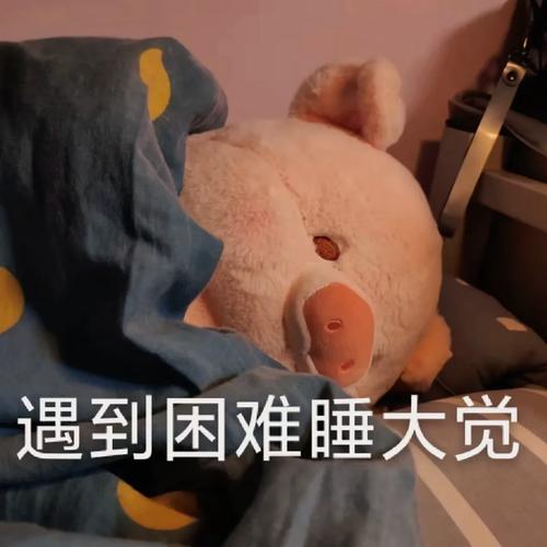 遇到困难睡大觉