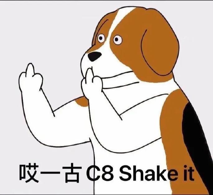 哎一古C8Shakeit