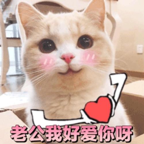 老公我好爱你呀