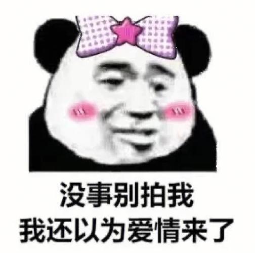 没事别拍我 我还以为爱情来了