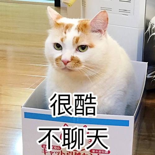 很酷 不聊天