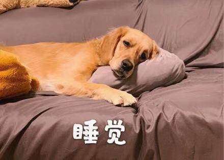睡觉