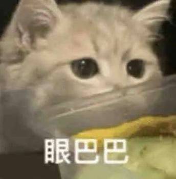眼巴巴