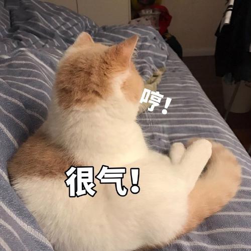 很气！