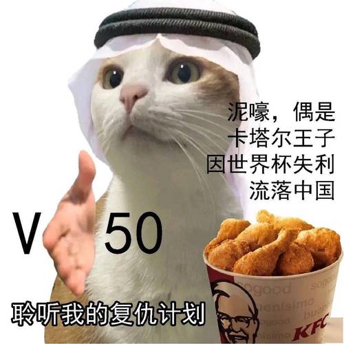 泥，偶是 卡塔尔王子 因世界杯失利 流落中国 50 V 聆听我的复仇计划