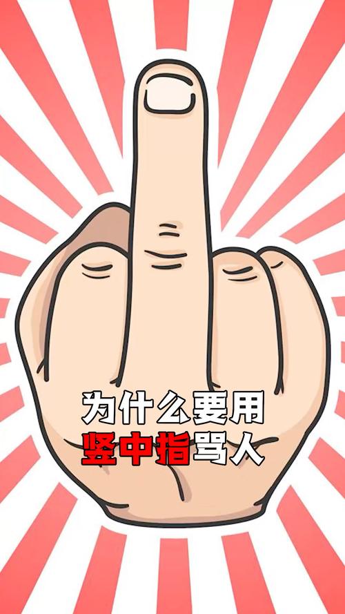 为什么要用 坚中指骂人