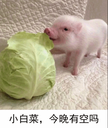 小白菜，今晚有空吗