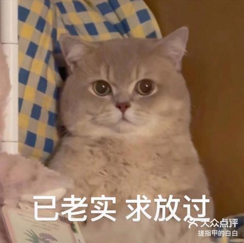 已老实求放过 大众点评 搓指甲的白白