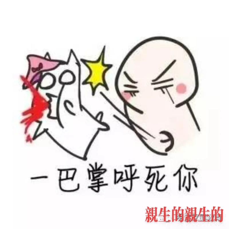 一巴掌呼死你 親生的親生的
