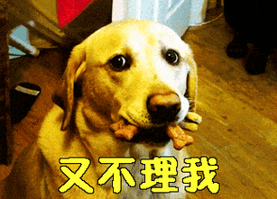 又不理我