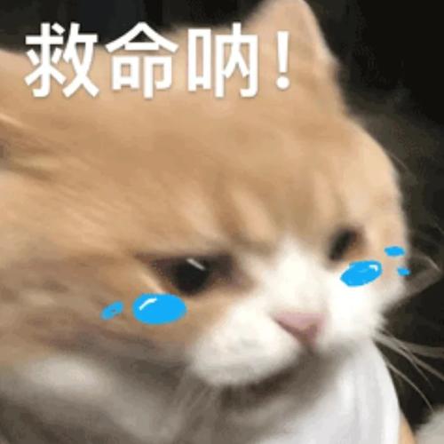 救命呐