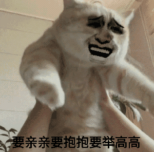 要亲亲要抱抱要举高高