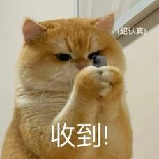 （超认真） 收到！