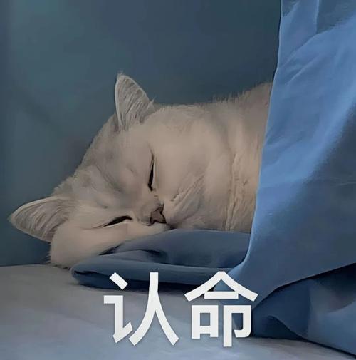 认命