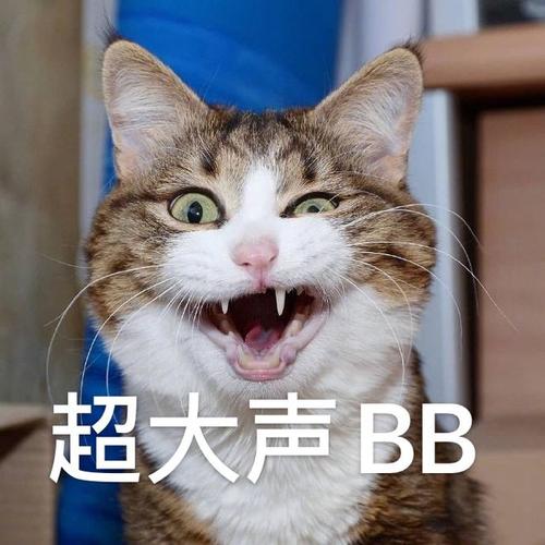 超大声BB
