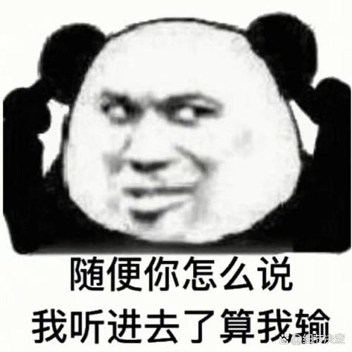 随便你怎么说 我听进去了算我输