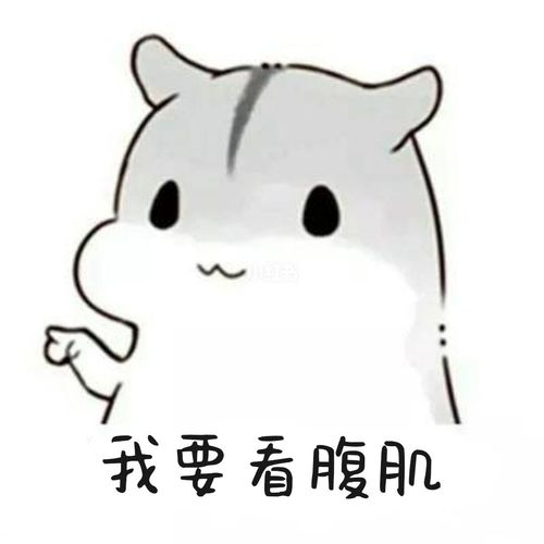 我要看腹肌