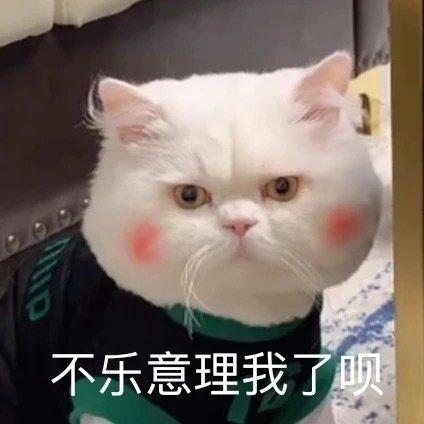 不乐意理我了呗