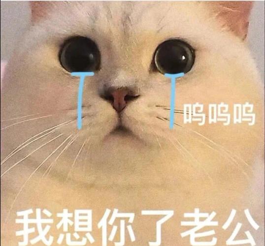 T 鸣鸣鸣 我想你了老公