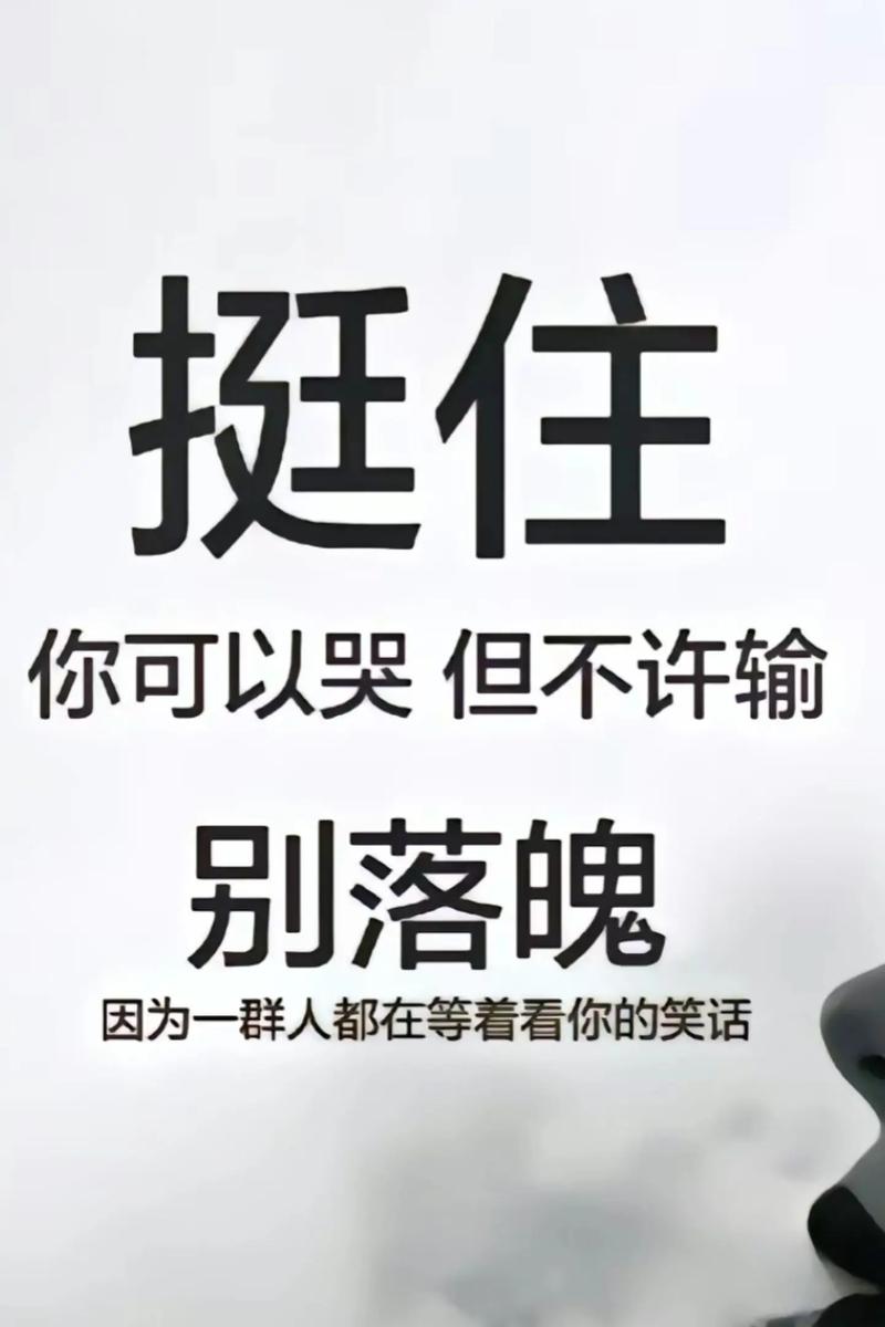 挺住 你可以哭但不许输 别落魄 因为一群人都在等着看你的笑话