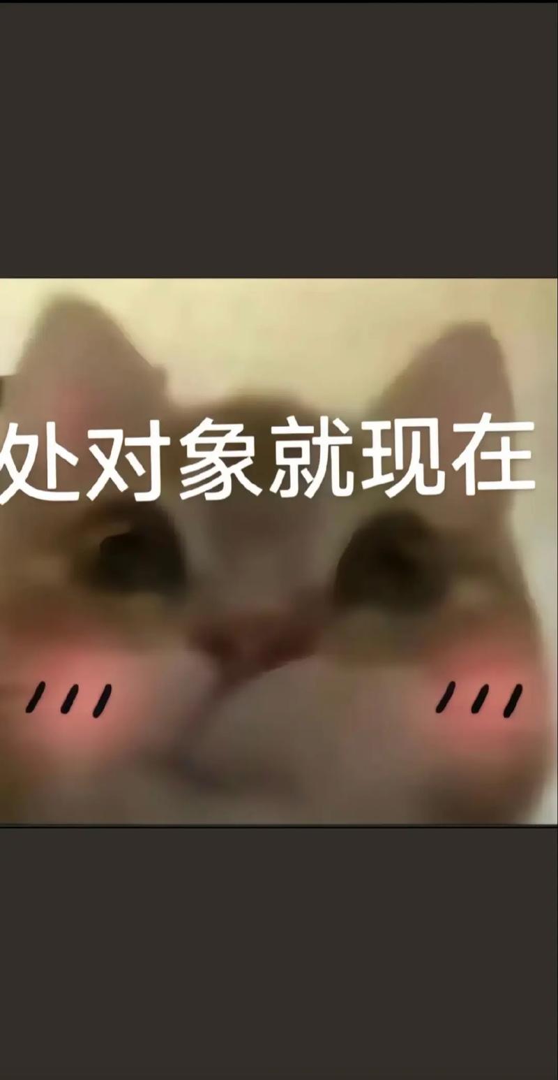 处对象就现在
