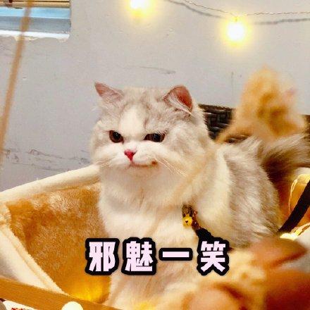 邪魅一笑