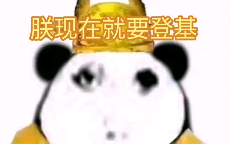 联现在就要登基