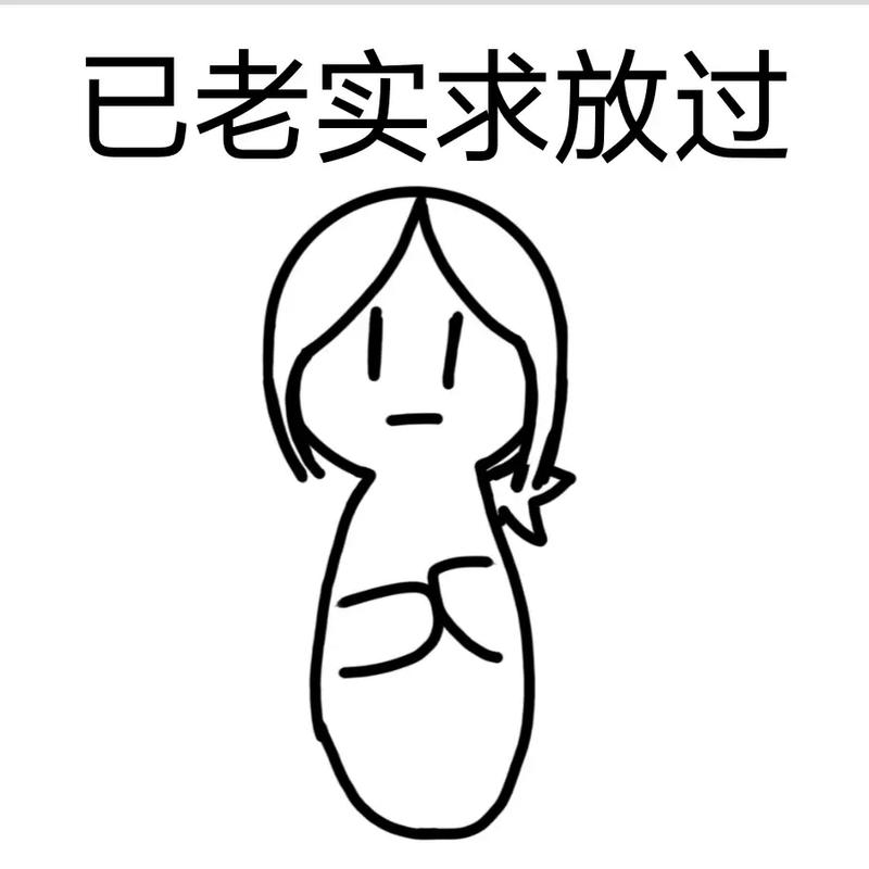 已老实求放过