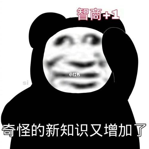 智商+1  奇怪的新知识又增加了