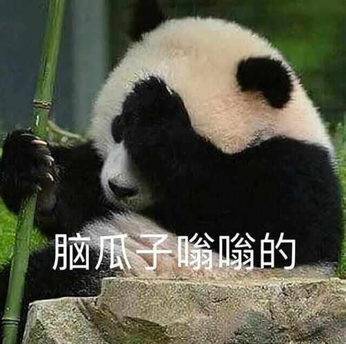 脑瓜子嗡嗡的