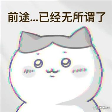 前途...已经无所谓了