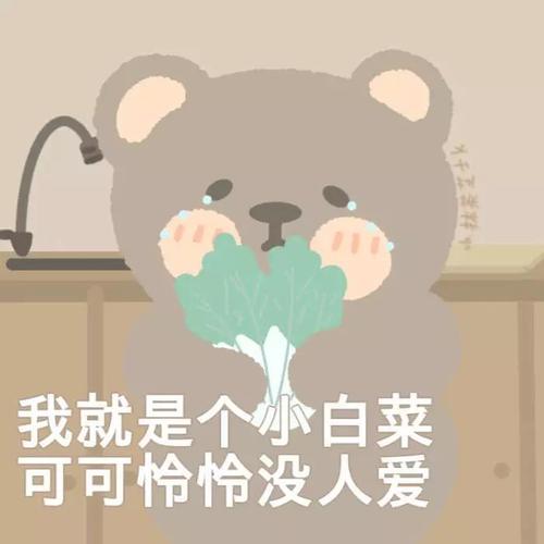 我就是个小白菜 可可怜怡没人爱