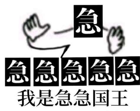 急 急急急急急 我是急急国王