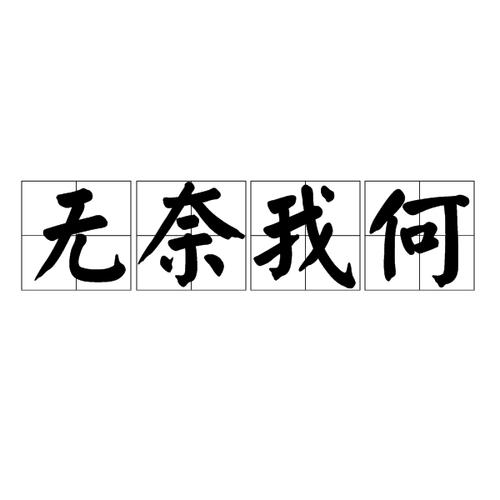 无奈我何