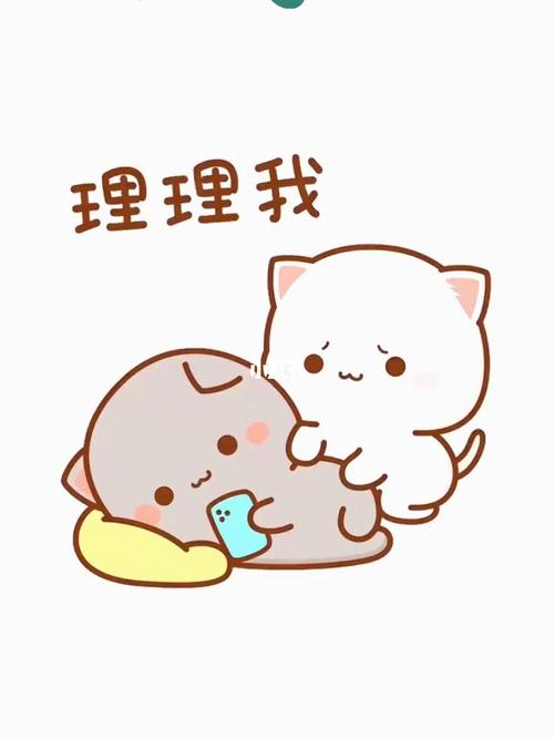 理理我
