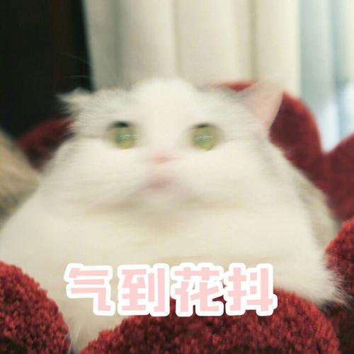 气到花抖