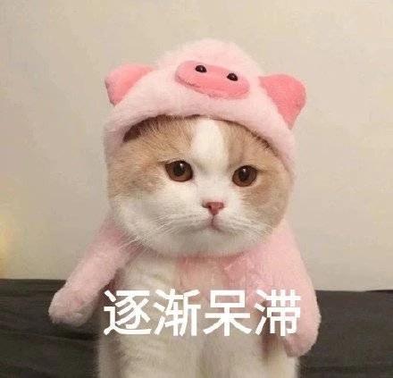 逐渐呆滞