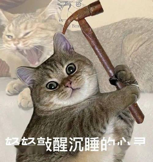 左宁支醒沉睡的心