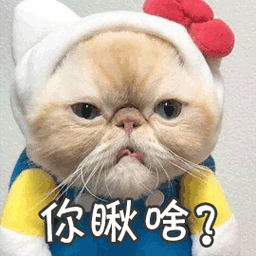 你瞅啥？