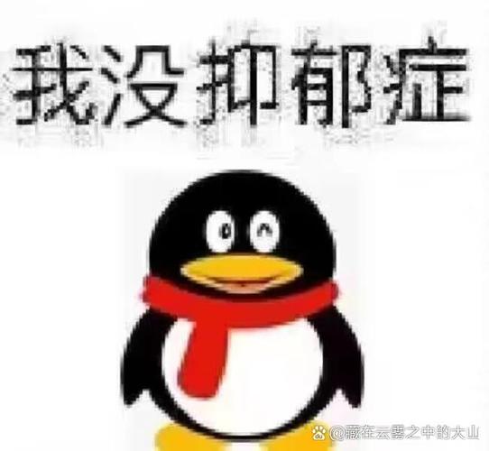 我没抑郁症 @藏在云雾之中的大业