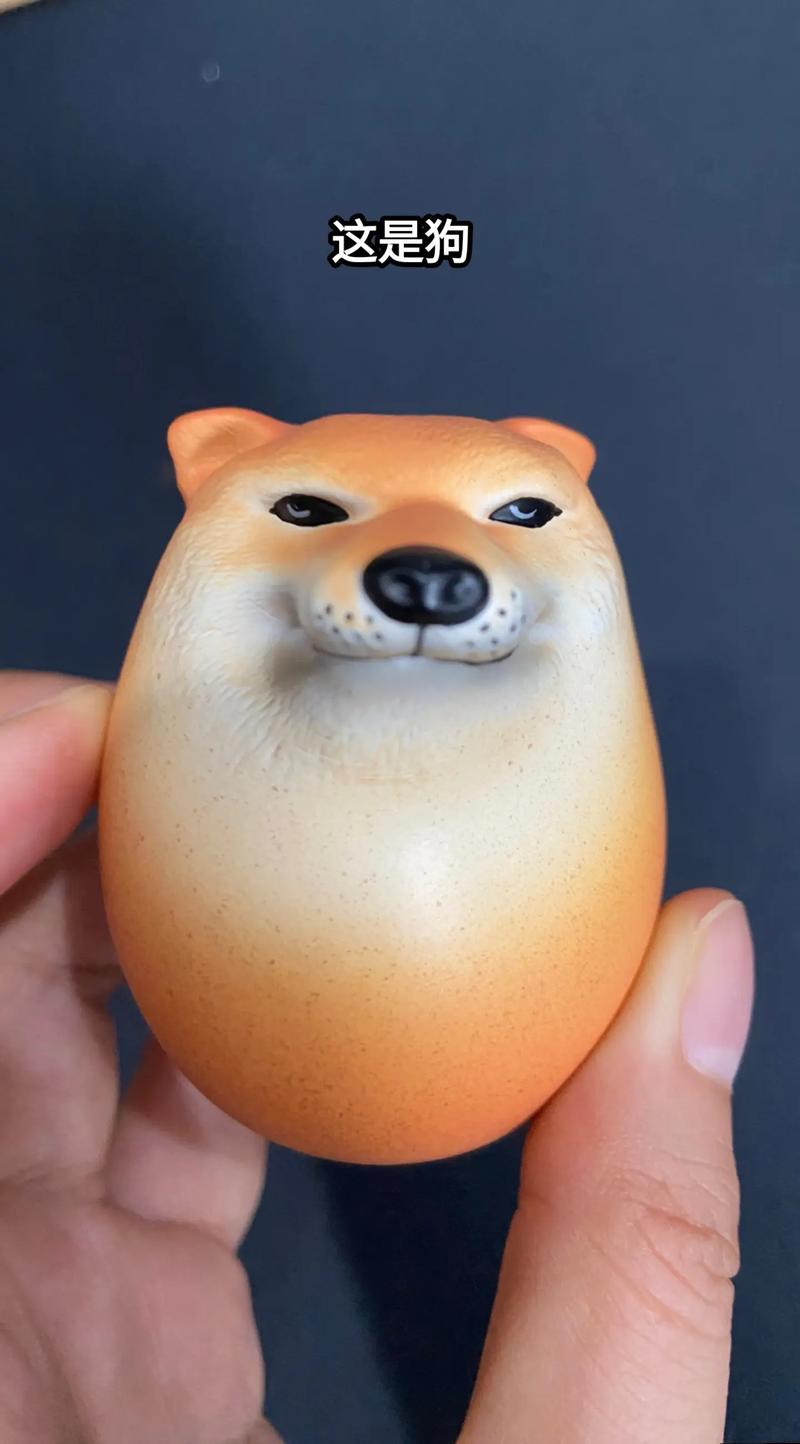 这是狗