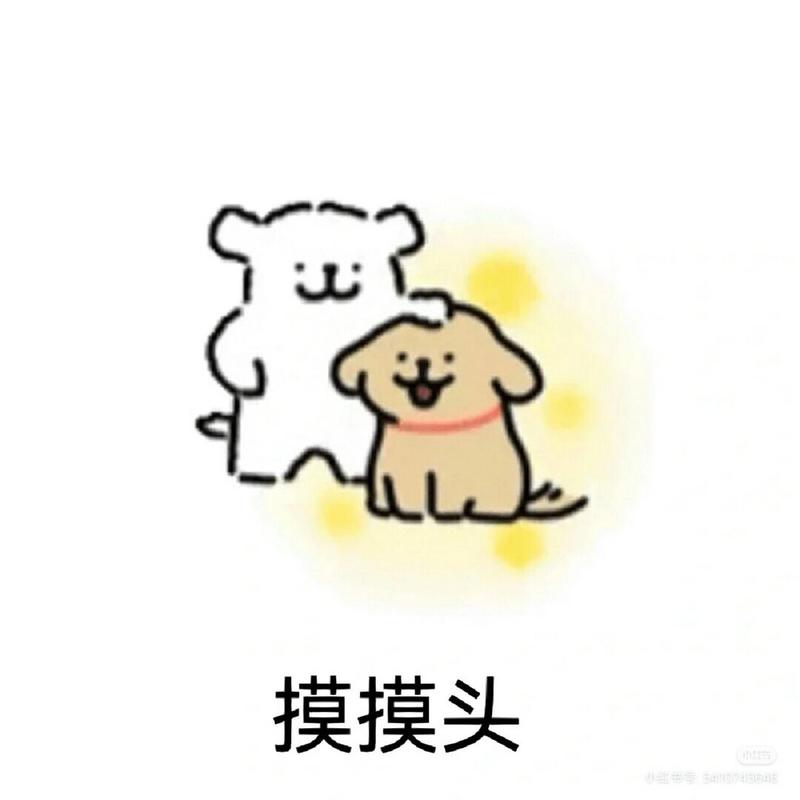 摸摸头